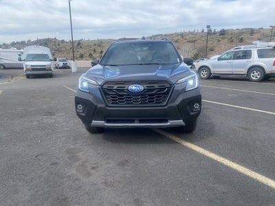 2024 Subaru Forester Wilderness