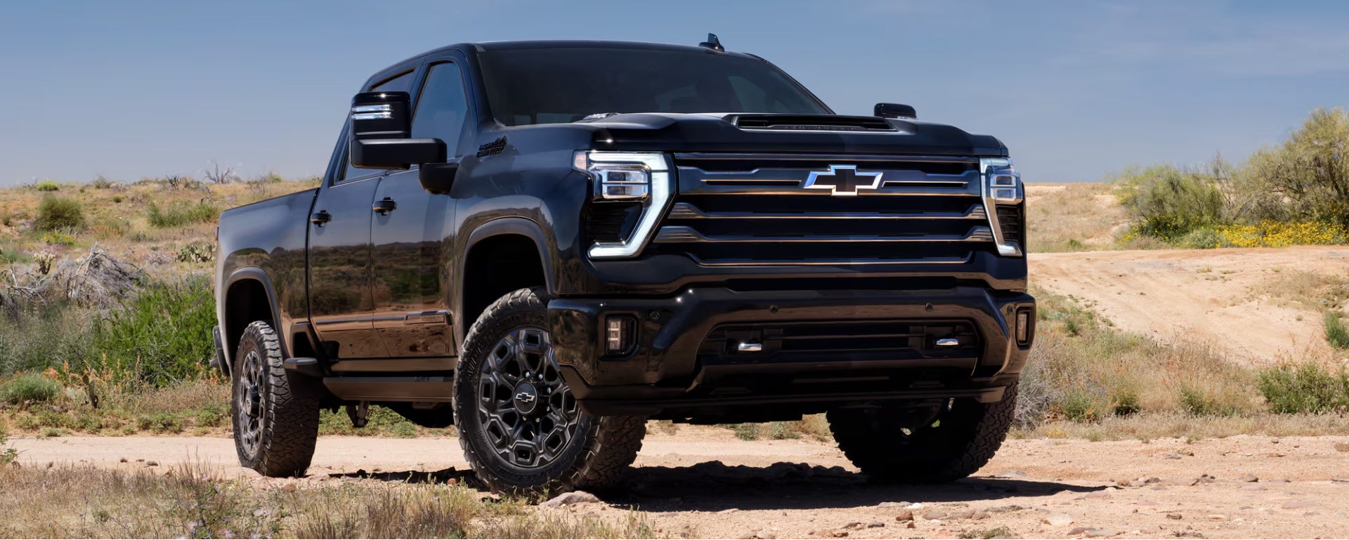 Black Chevrolet Pickup Truck parked on dirt